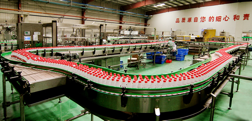 Bottle Mineral Water Beverage Production Line , Beverage Production Equipment