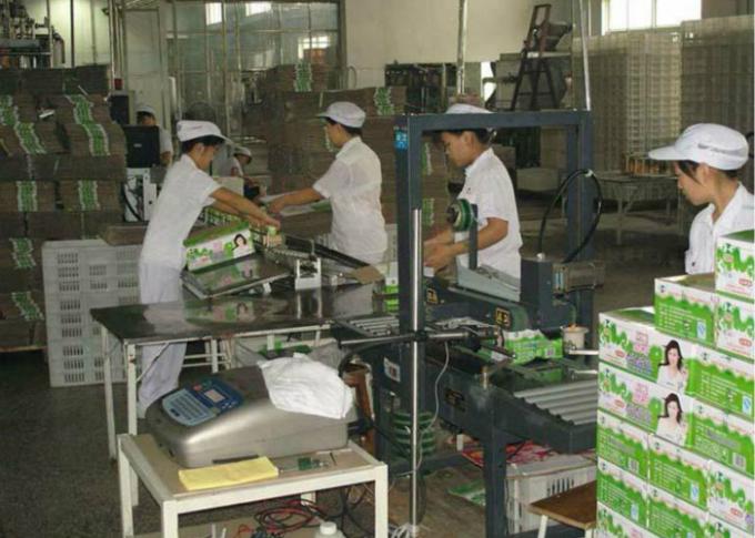 Pillow - Shape Packaged Dairy Production Line , Milk Products Manufacturing Machines
