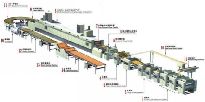 Cookie Biscuit Production Line Packaging Conveyor Systems Long Service Life