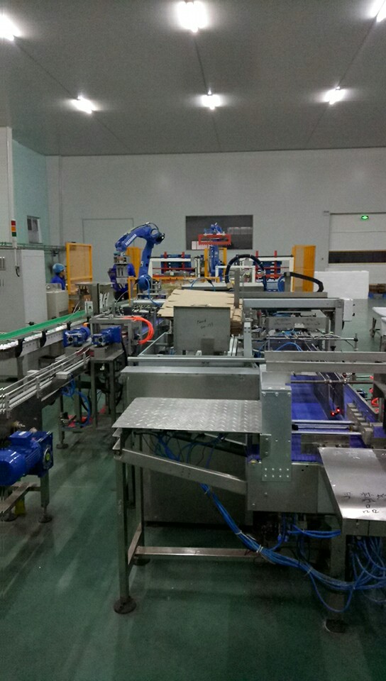 Side Load Automatic Case Packer Machine , Wrap Around Case Packer Product Arrangement