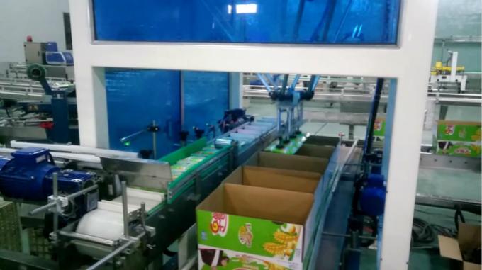 Pouch Into Carton Box Automatic Case Packer Machine Robot Control Software