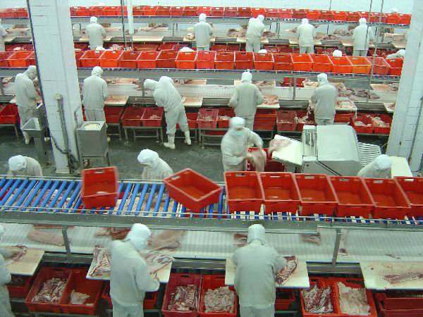 Pork Split Poultry Meat Production Line Slaughterhouse Equipment PLC Control System 