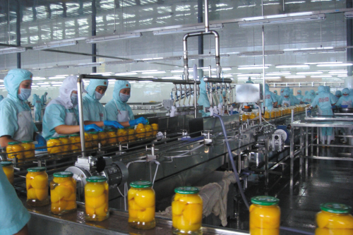 Glass Bottle Canned Food Production Line Fruits Vegetables Processing System