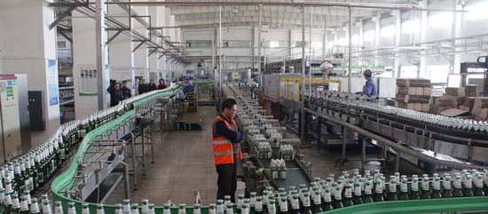 Glass Bottle Beer Production Line Packing Conveying Process 12 Months Warranty