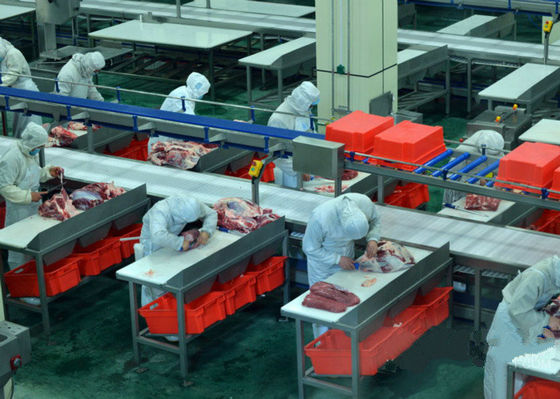 China Beef Split Meat Production Line / Processing Line 100-300 Cattle Per Hour Speed supplier