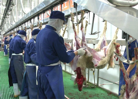 China Goat Mutton Split Meat Production Line Slaughter Conveying Whole Processing Type supplier