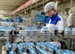Lactic Acid Bacteria Dairy Production Line Yogurt Manufacturing Equipment / Machine supplier