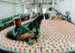 PE Bottle Small Scale Yogurt Processing Equipment Full / Semi Auto Operation supplier