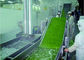 Intelligent Vegetable Fruit Production Line Automatic Packaging Conveyor Systems supplier
