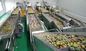 Intelligent Vegetable Fruit Production Line Automatic Packaging Conveyor Systems supplier