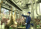 Goat Mutton Split Meat Production Line Slaughter Conveying Whole Processing Type supplier
