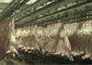 Goat Mutton Split Meat Production Line Slaughter Conveying Whole Processing Type supplier
