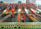 Plastic Cup Canned Food Production Line , Fruit And Vegetable Processing Equipment supplier