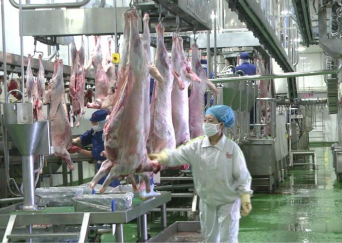 Lamb Split Meat Production Line , Industrial Production Line Further Processing