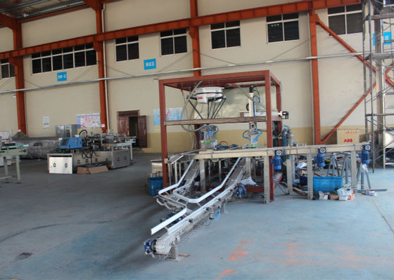 China Back - End Automated Production Line , Assembly Line Automation Equipment supplier