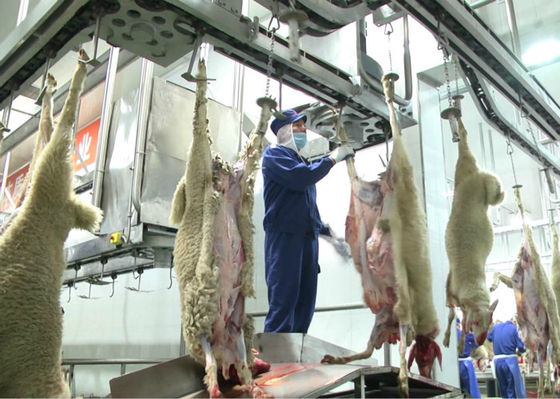 China Lamb Split Meat Production Line , Industrial Production Line Further Processing supplier