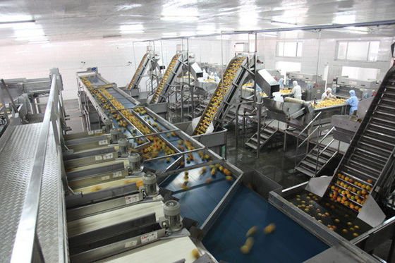 China Food Tin Can Production Line Fully Semi Automatic 100-300 Cans Per Hour High Speed supplier