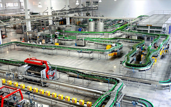 China Glass Bottle Beer Production Line Packing Conveying Process 12 Months Warranty supplier