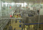 Automated Dairy Milk Production Line Packing Conveyor Systems supplier