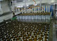 Back - End Automated Production Line , Assembly Line Automation Equipment supplier