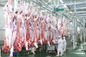 Beef Split Meat Production Line / Processing Line 100-300 Cattle Per Hour Speed supplier
